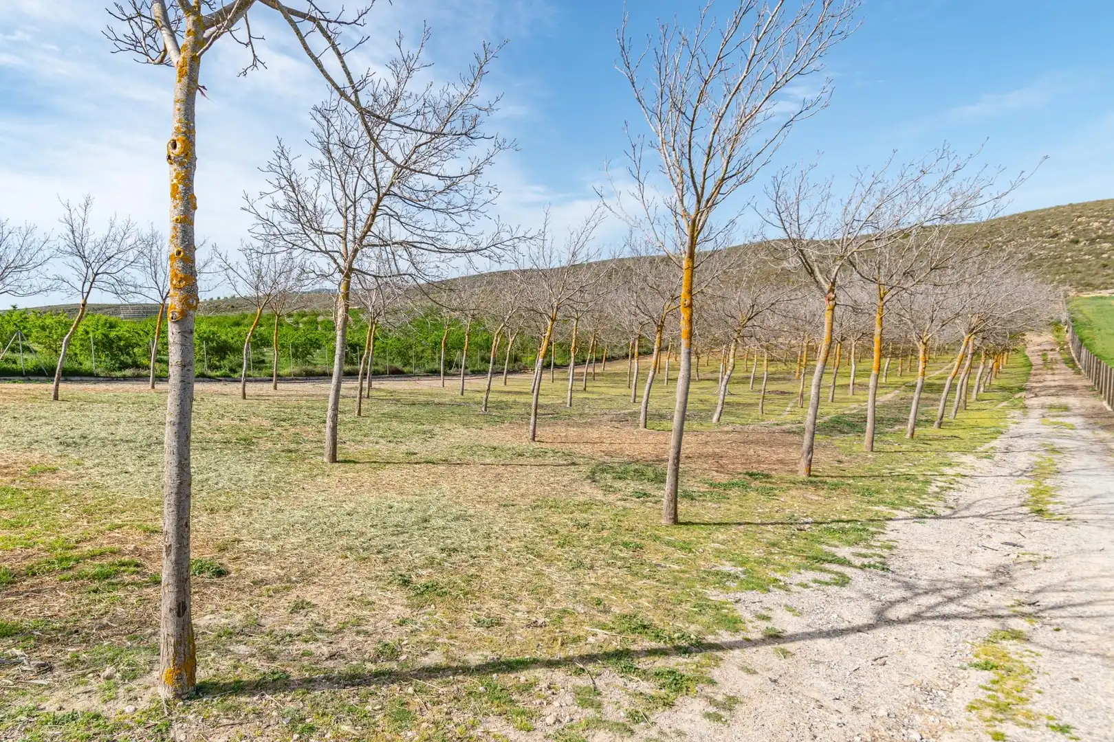 Rural land for sale in Padul, imagen 35