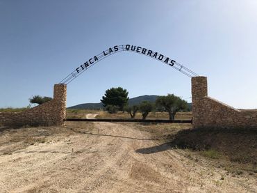 Terreno rustico in vendita a Yecla