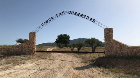 Finca de 408.000 m en Carretera YeclaPinoso con posibilidad de construir 20 chalets