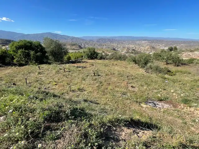 Terreno rústico en venta en Paraje los Molinicos 1, imagen 7