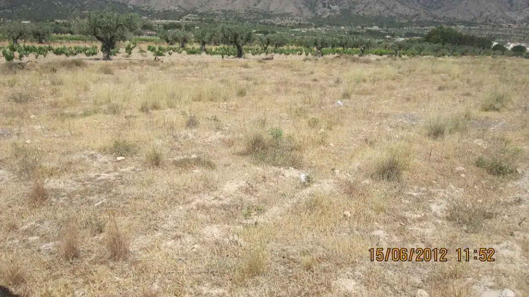 Terreno rustico in vendita a Salinas de Oro / Jaitz, imagen 4