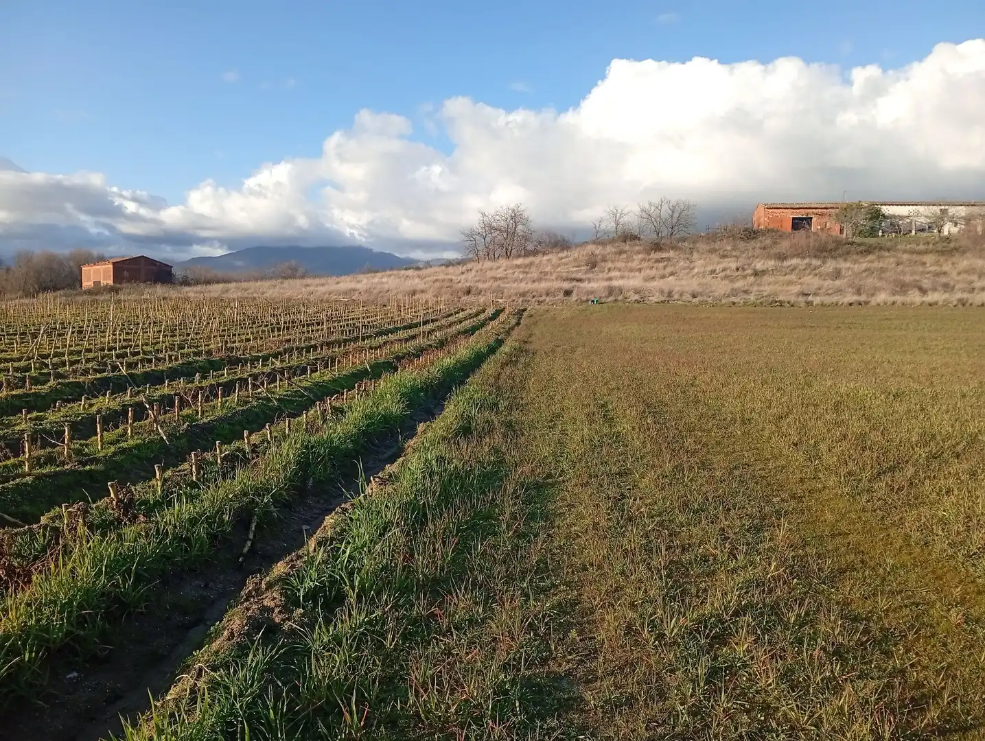 Land for sale in Losar de la Vera
