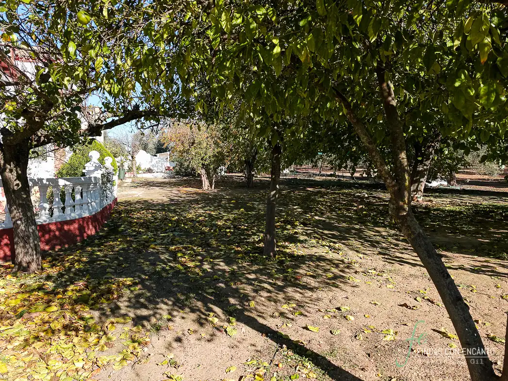 Country homes for sale in Puente Genil  with Terrace and Swimming Pool