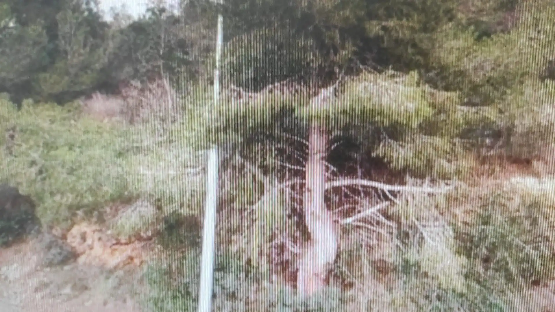 Grundstücke und Bauplätze zum Verkauf in Segur de Calafell, imagen 3