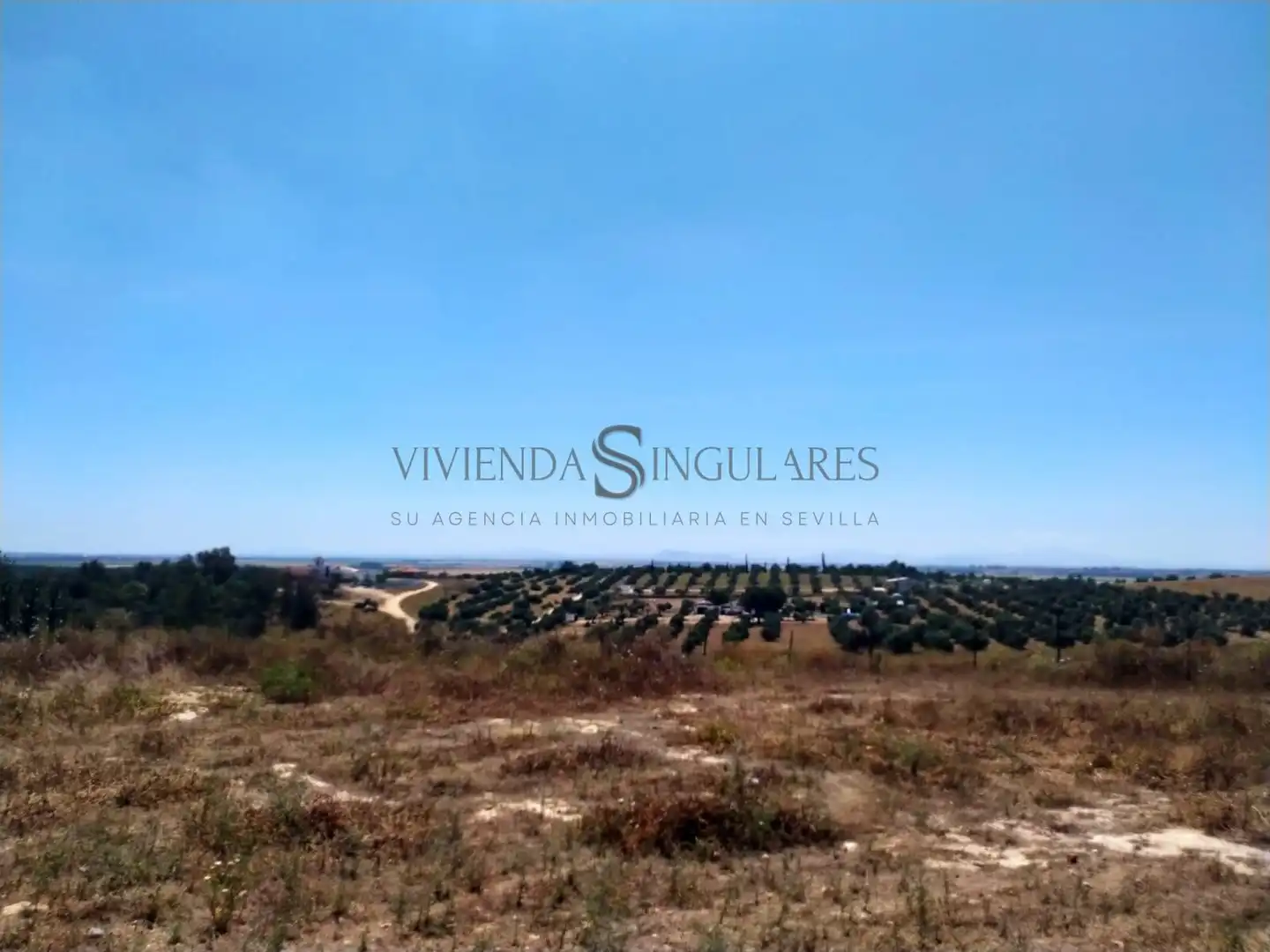 Finca rústica en venda en Alcalá de Guadaira amb Jardí privat, Traster i Piscina