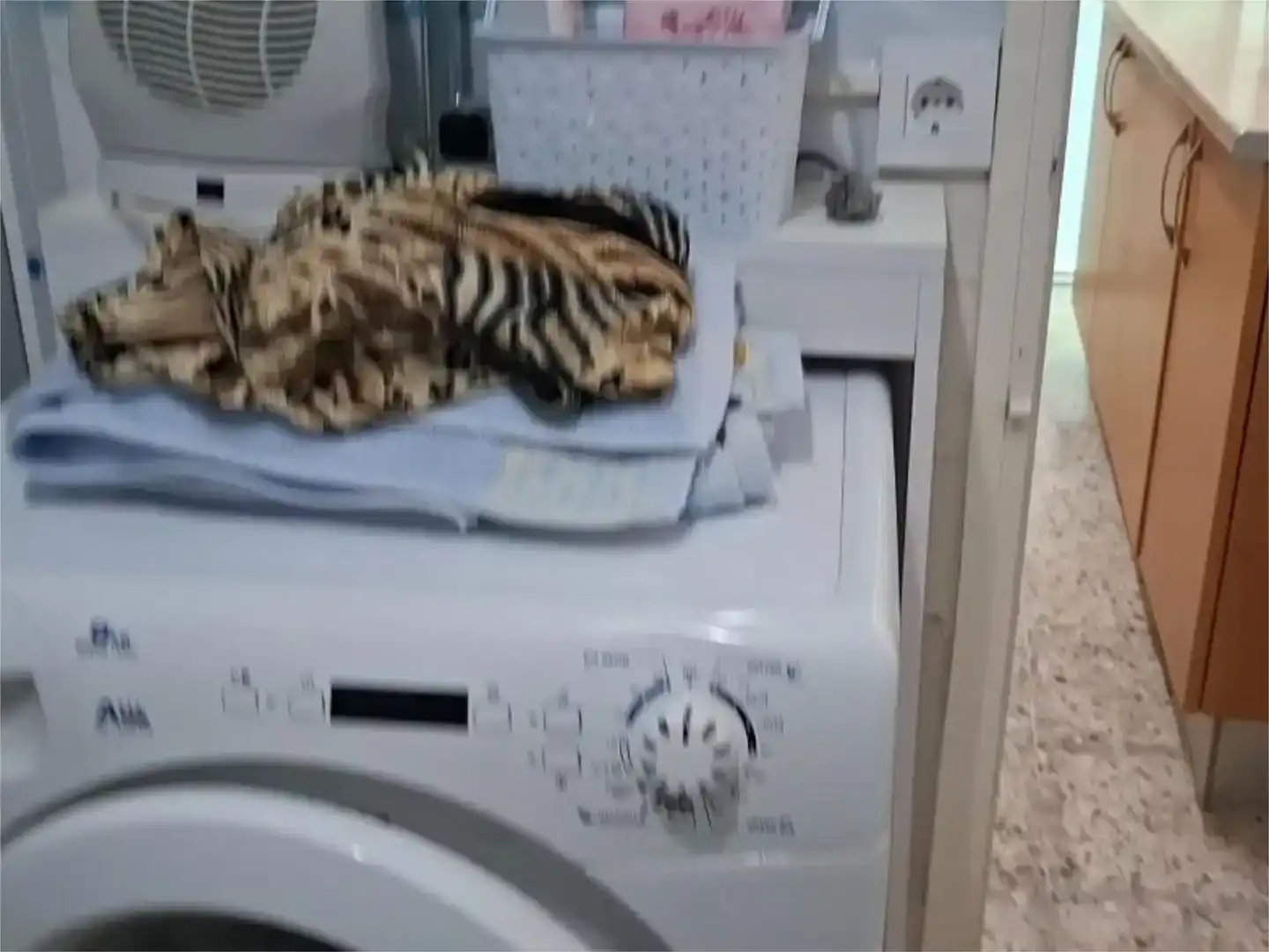 Dormitori de Casa o xalet en venda en Granja de Torrehermosa