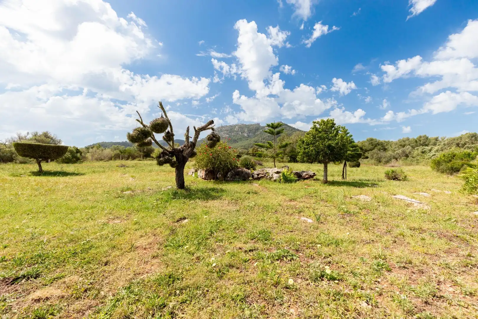 Casa o chalet en venta en Felanitx con Aire acondicionado, Jardín privado y Terraza