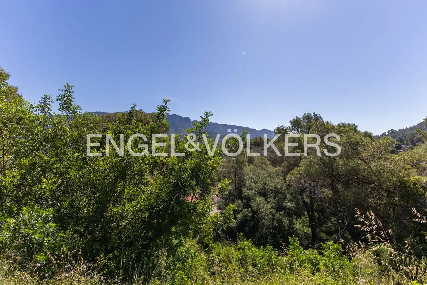 Residencial en venda en Carcaixent