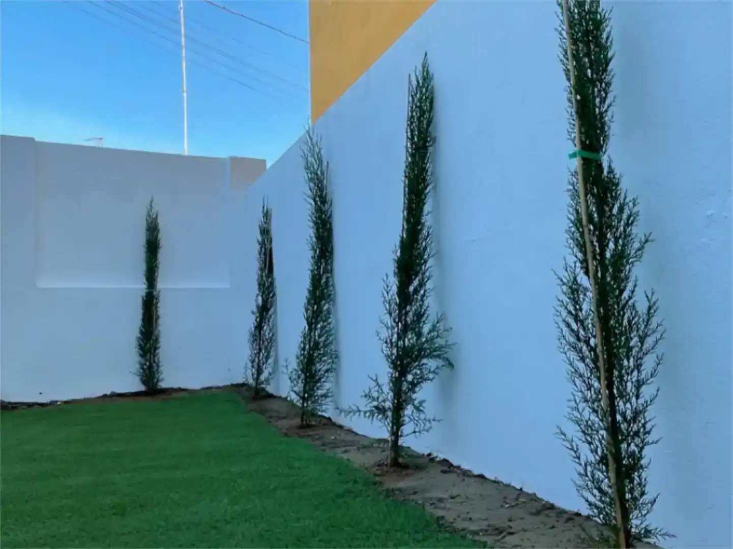 Außenansicht von Wohnung zur Miete in Sanlúcar de Barrameda mit Klimaanlage, Privatgarten und Möbliert