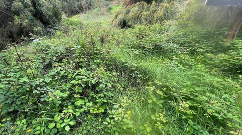 Photo 3 of Residential for sale in Huerta Belón - Calvario, Málaga