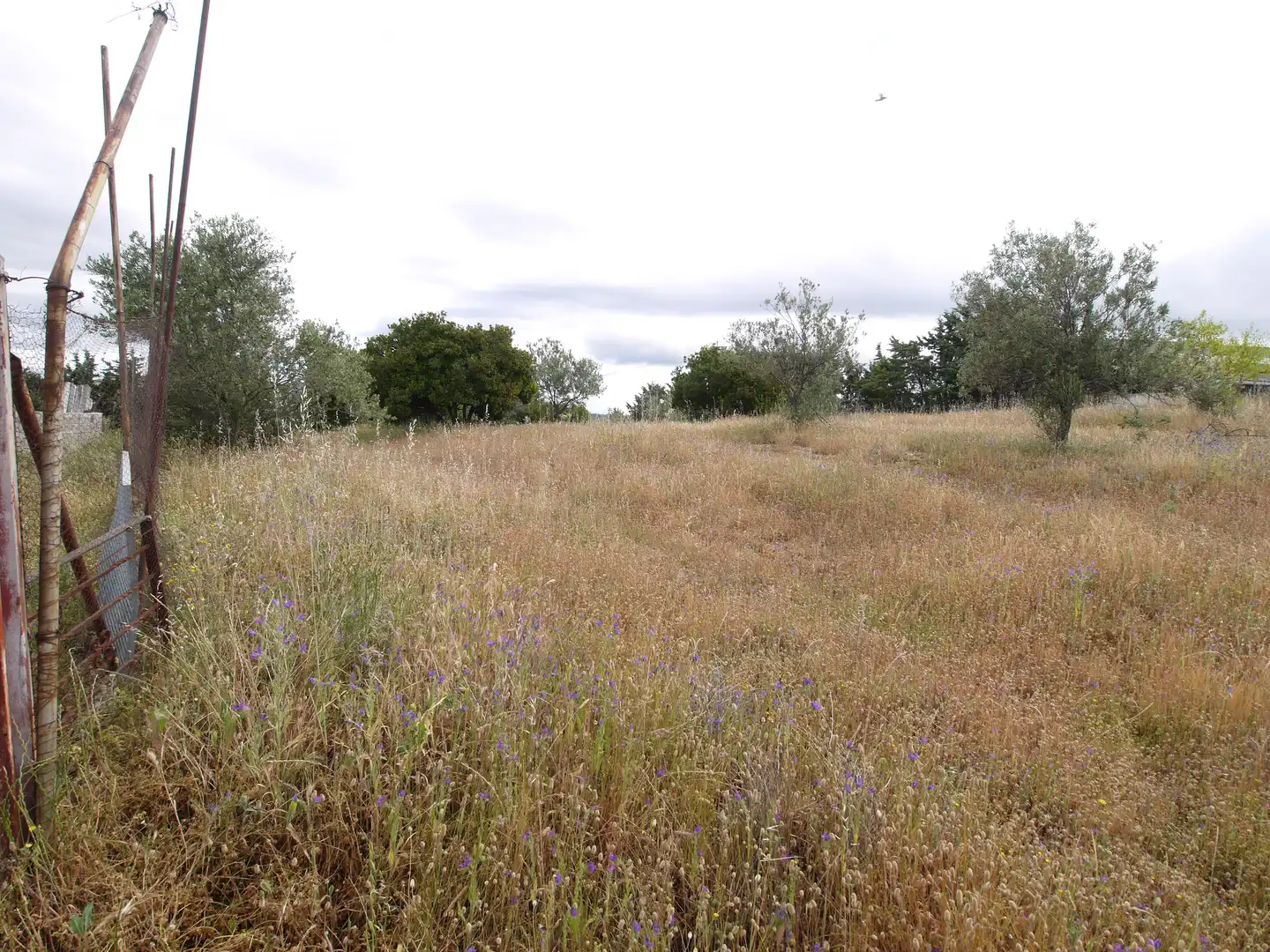Grundstücke zum Verkauf in Vial Camino, El Olivar - La Magdalena