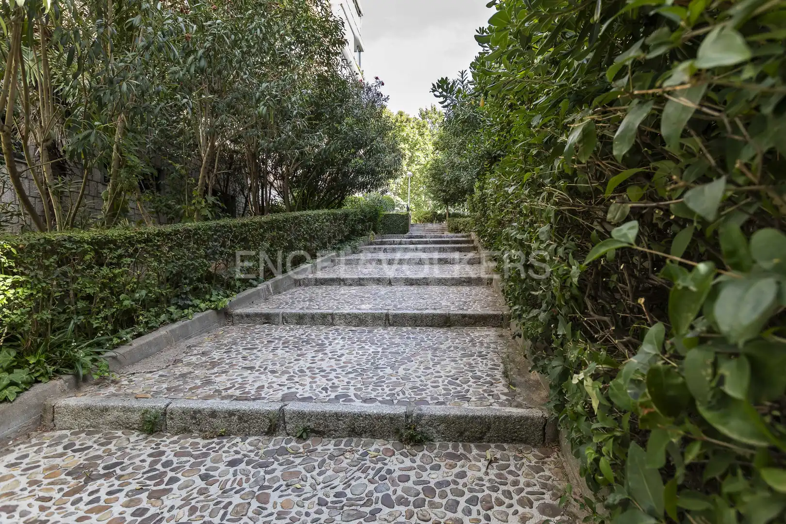 Vista exterior de Casa o chalet en venta en Madrid con Calefacción y Jardín privado
