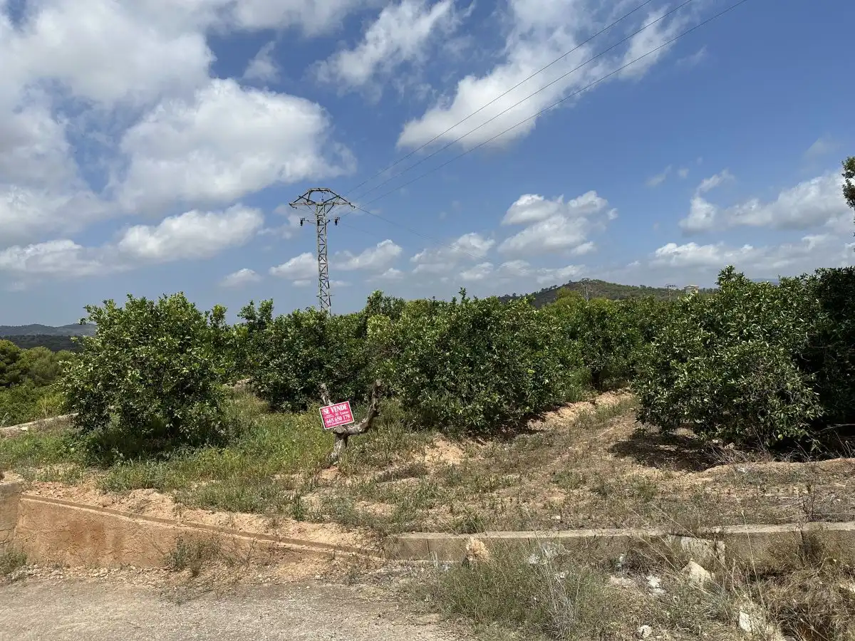 Rural land for sale in Sagunto ciudad, imagen 19