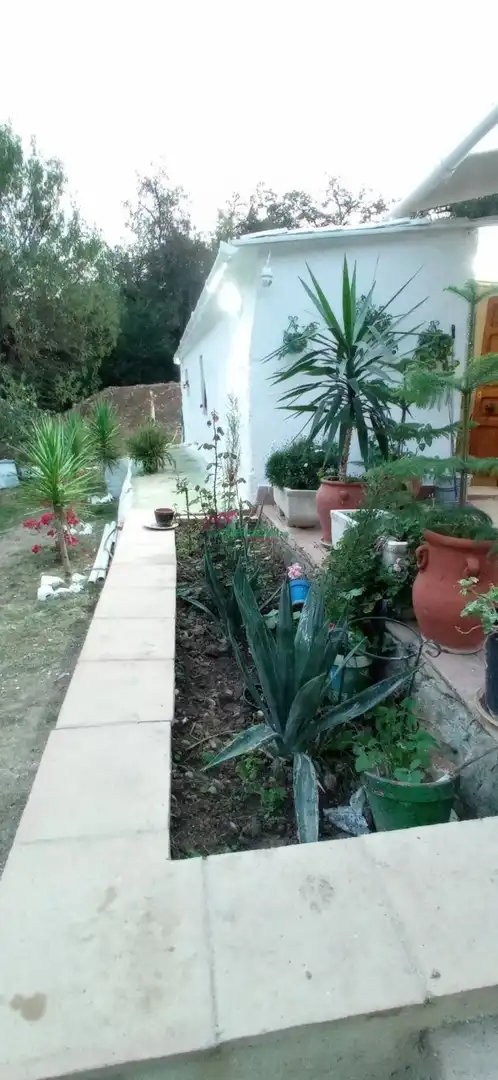 Terreni e lotti in vendita a Benaocaz, imagen 34