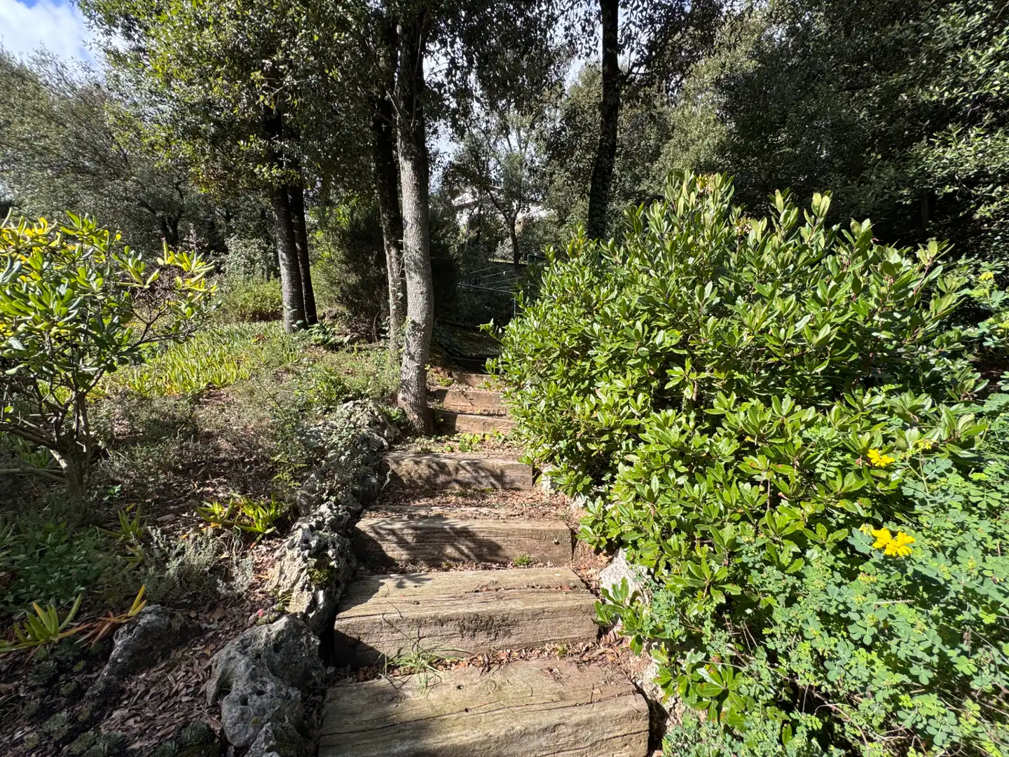 Maison avec jardin à vendre à Sant Pere de Vilamajor, imagen 42