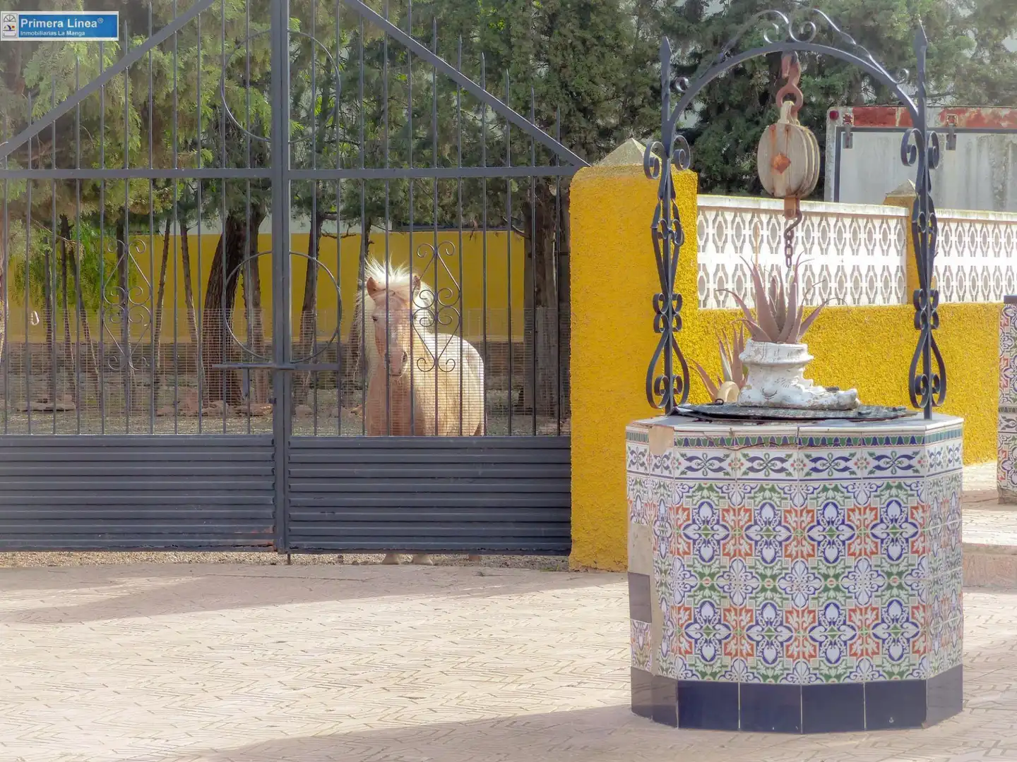 Jardí de Finca rústica en venda en Fuente Álamo de Murcia amb Calefacció, Jardí privat i Terrassa
