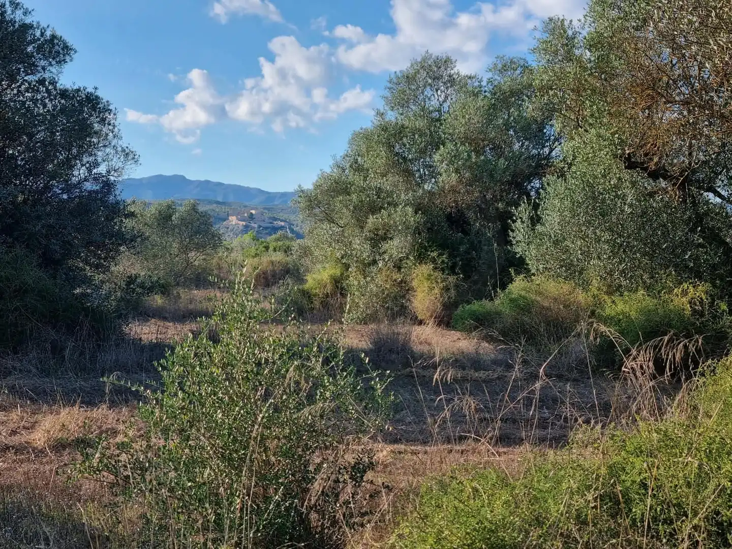 Grundstücke und Bauplätze zum Verkauf in poligono 14 parcela 31 Ginestar, imagen 6