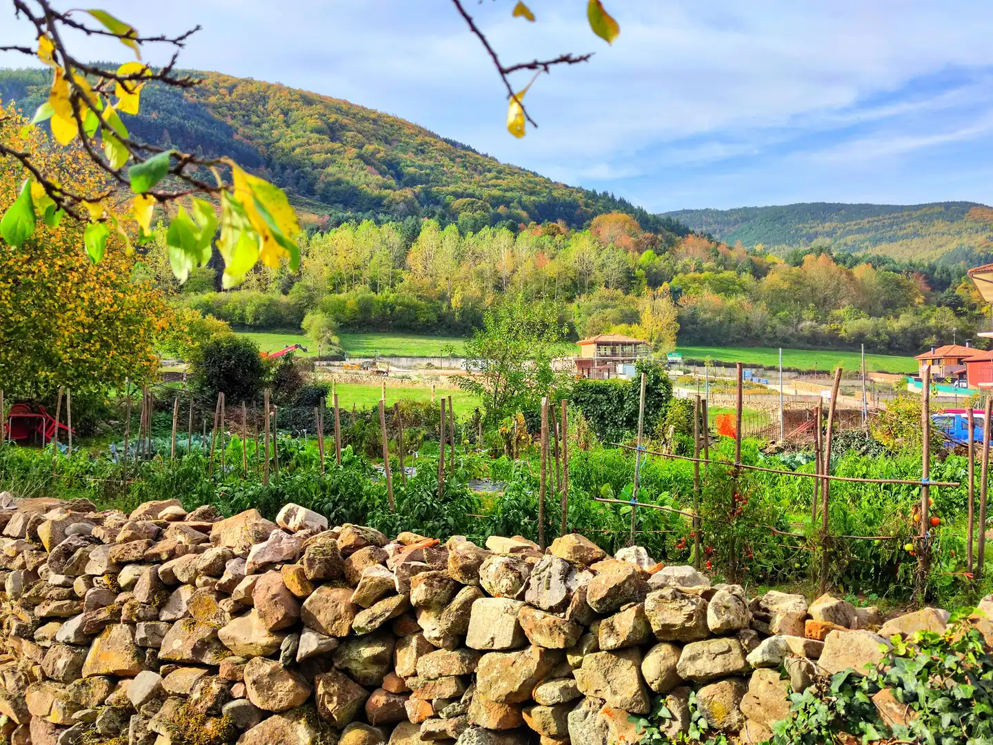 Jardín de Casa o chalet en venta en Valgañón con Jardín privado y Terraza