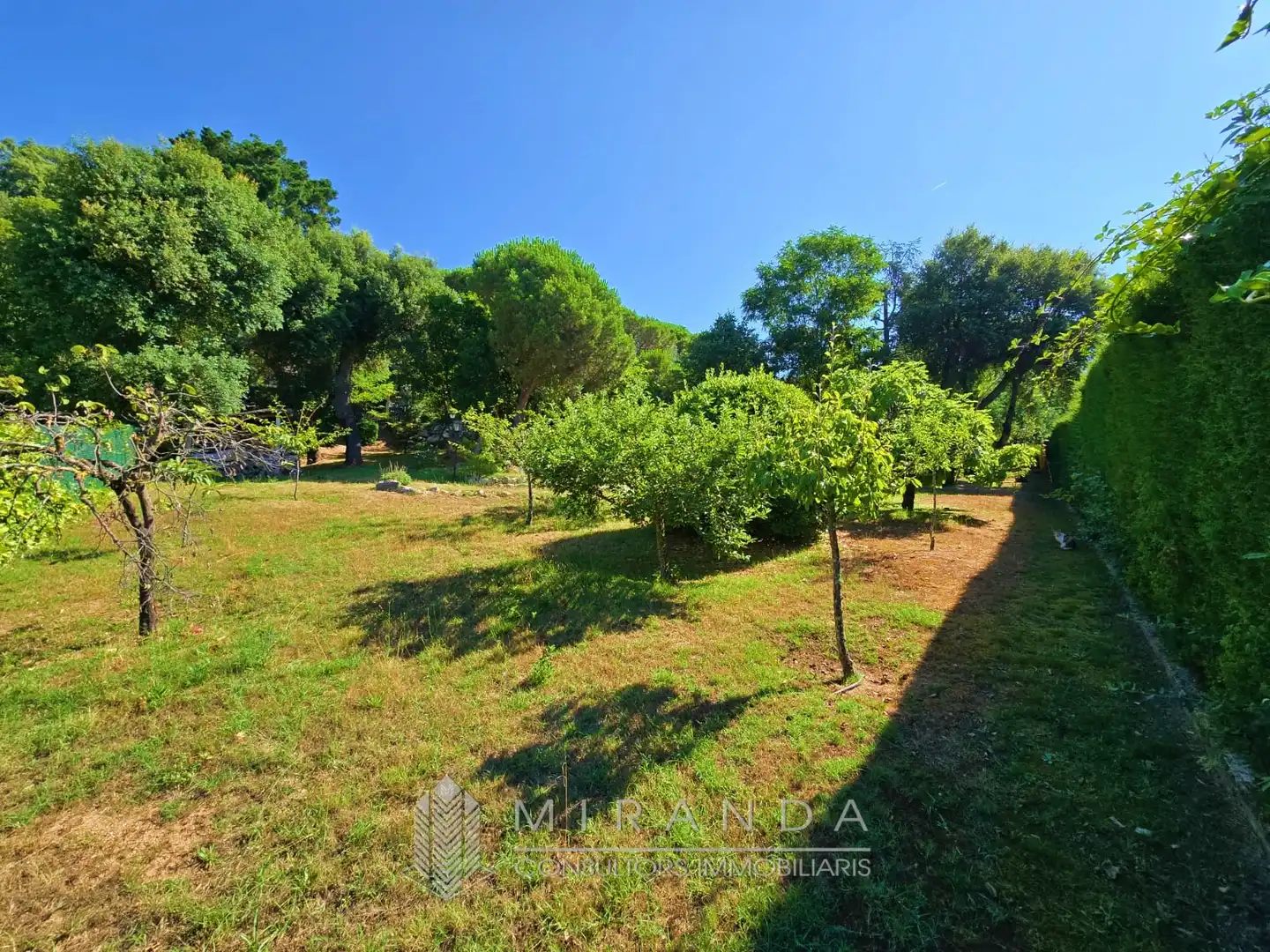 Jardí de Casa o xalet en venda en Riells i Viabrea amb Calefacció, Jardí privat i Terrassa