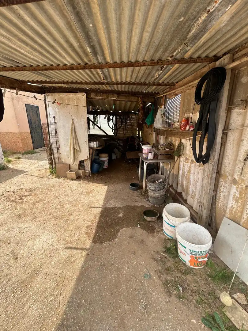 Exterior view of Houses for sale in Chiclana de la Frontera