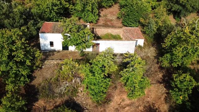 Terreno en Venta en Castaño del Robledo