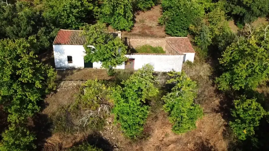 Terreni e lotti in vendita a Castaño del Robledo