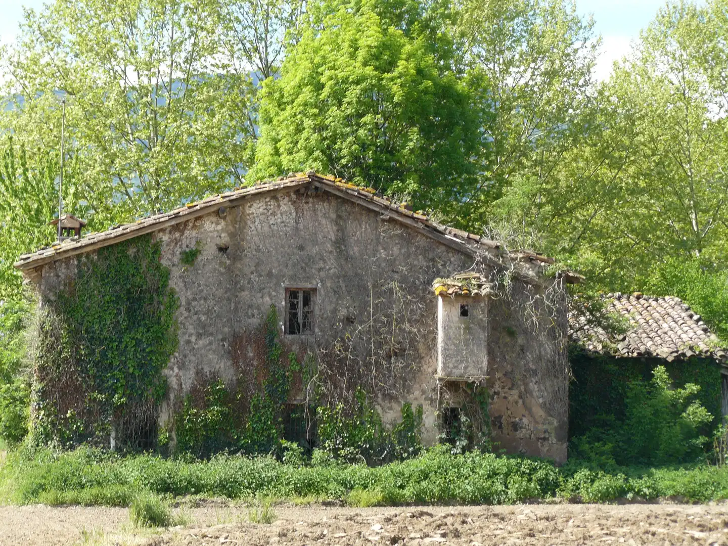 Vista exterior de Finca rústica en venta en Les Preses