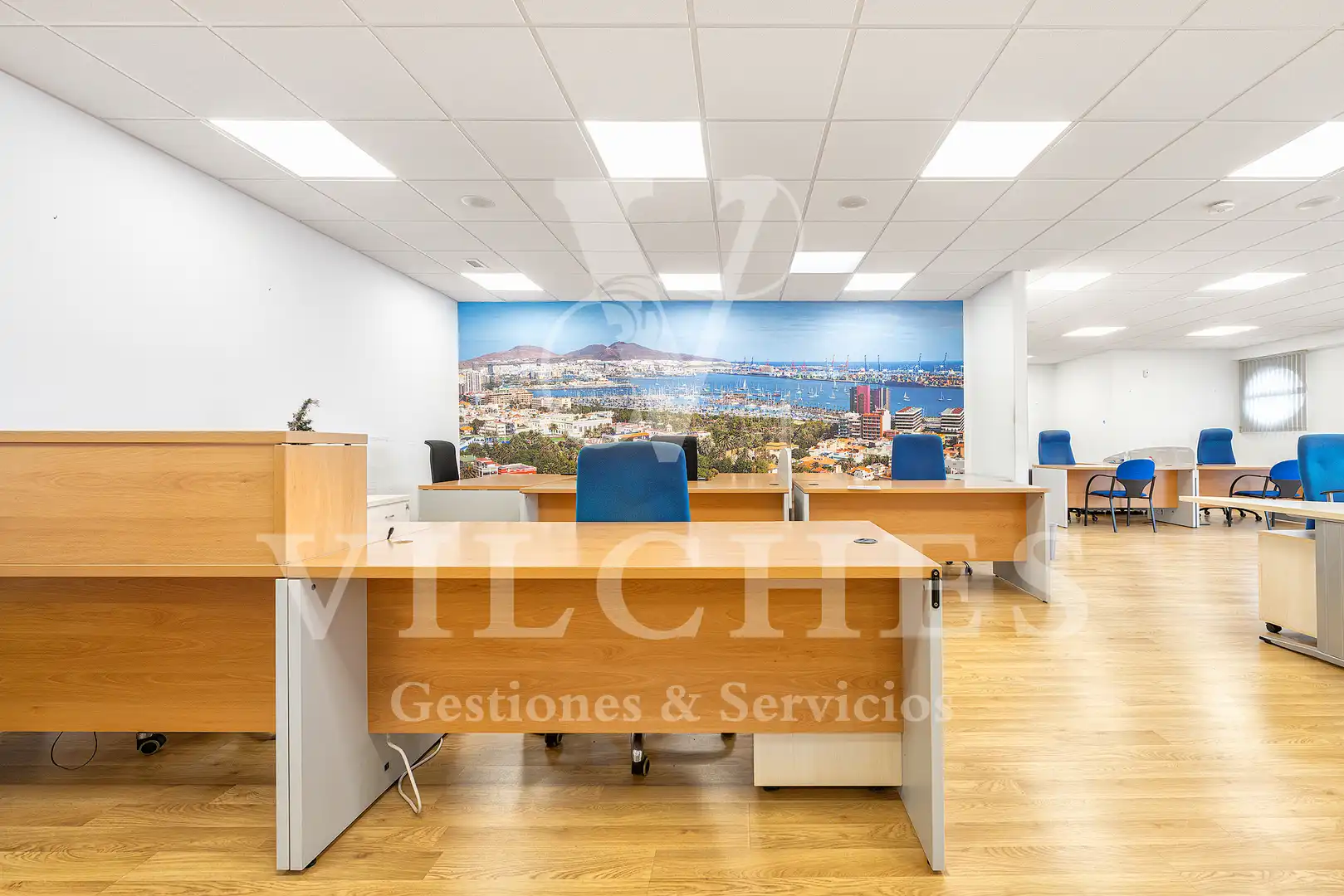 Office space for sale in Calle Doctor Juan Domínguez Pérez 16, imagen 4