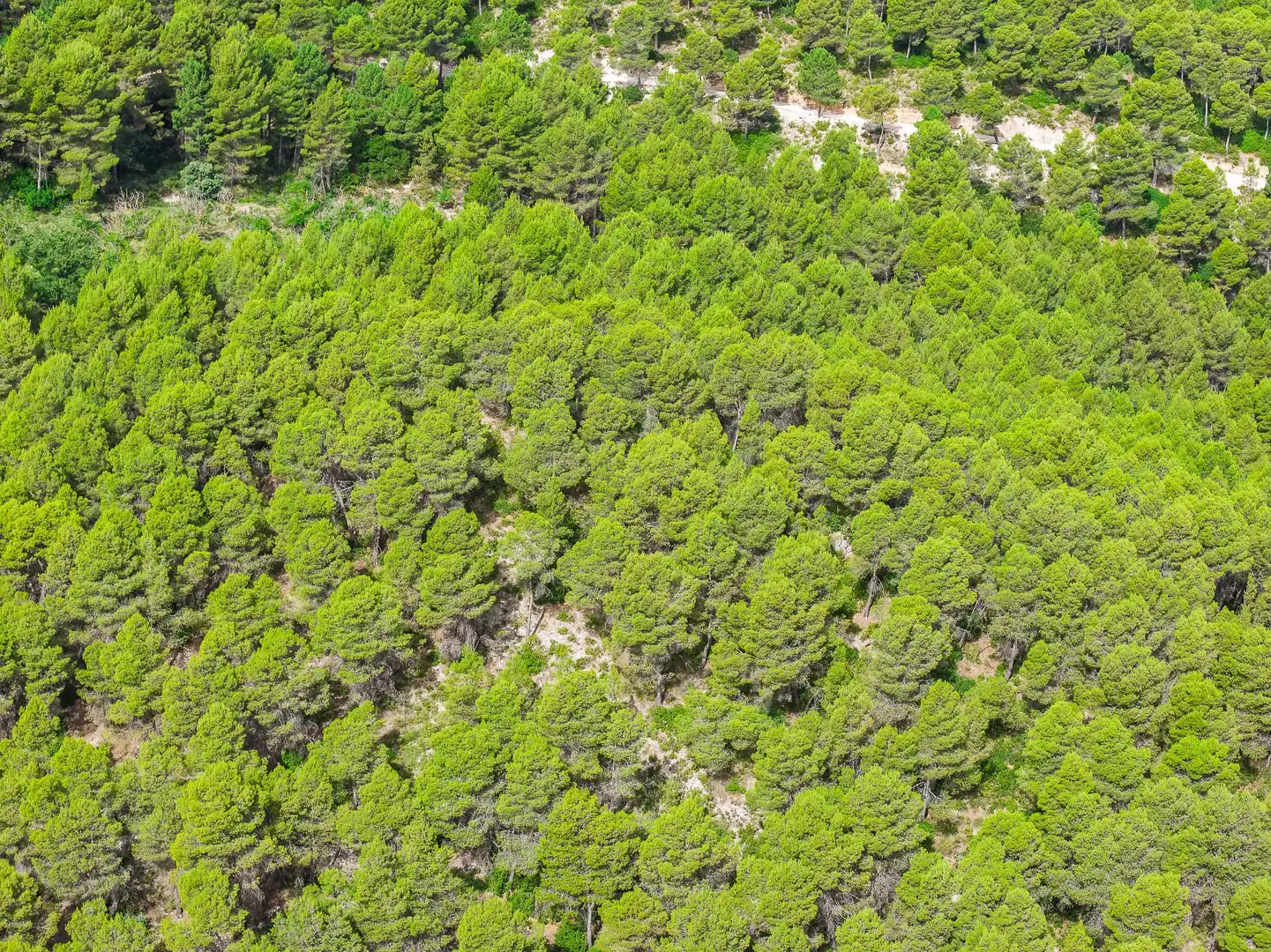 Finca rústica en venta en Moratalla con Piscina