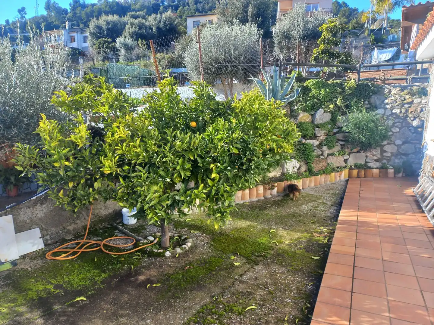 House with terrace for sale in Bigues i Riells del Fai, imagen 13