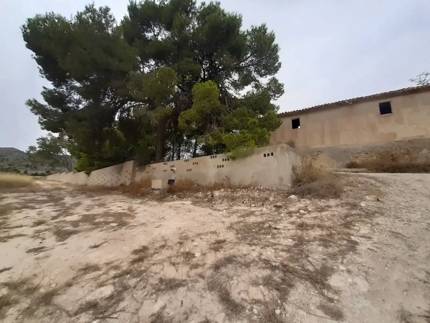 Maison rustique avec piscine à vendre à Monóvar  / Monòver, imagen 39