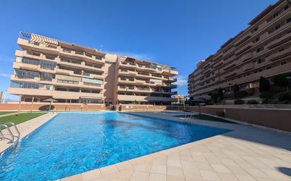 Swimming pool of Flat for sale in Elche / Elx  with Private garden, Terrace and Balcony