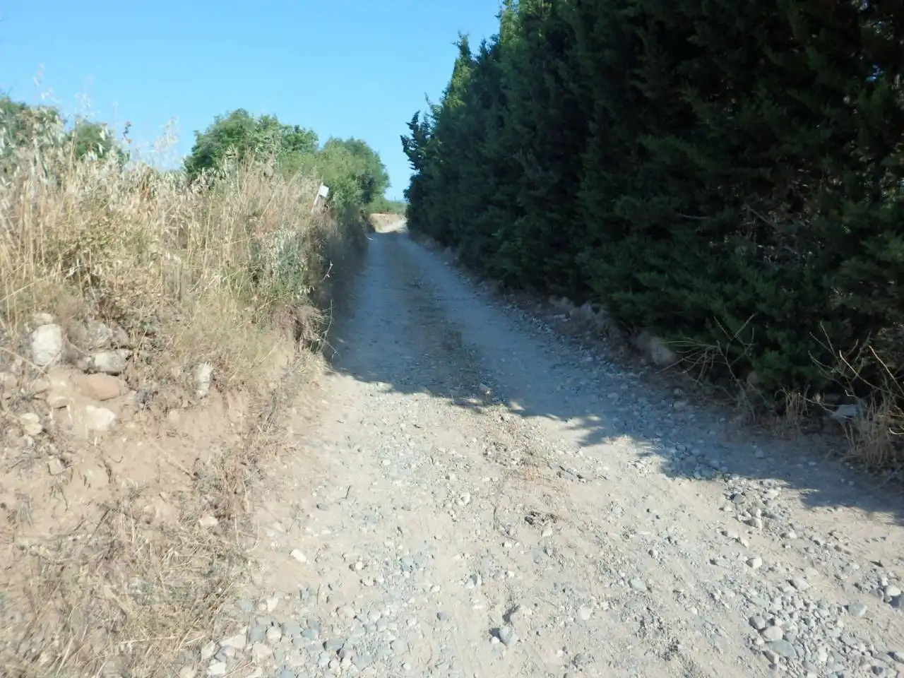 Rural land for sale in Carretera dels emprius, imagen 9
