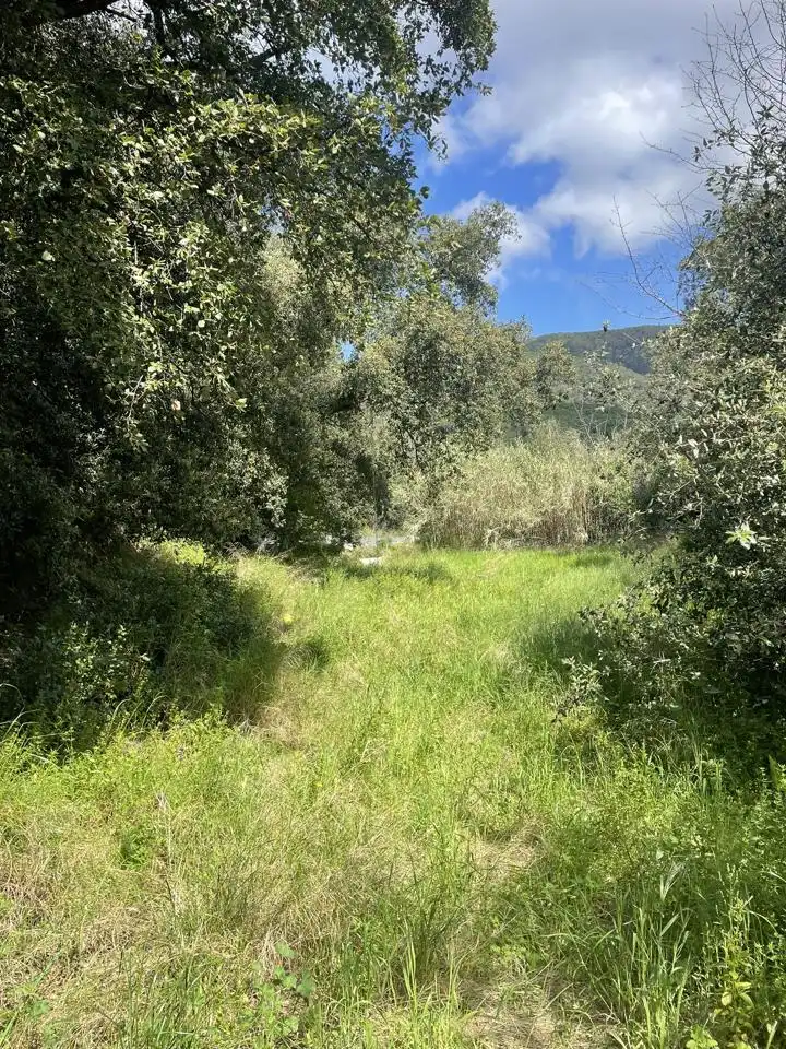Country homes for sale in Sant Iscle de Vallalta  with Private garden, Terrace and Swimming Pool