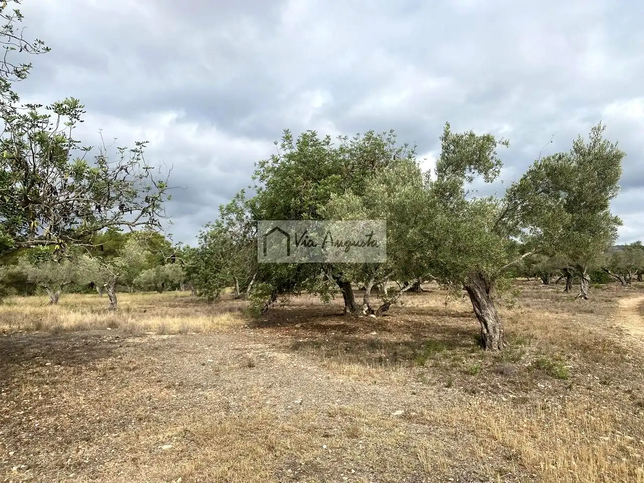 Terreno rustico in vendita a Mas de Baralluga, imagen 2