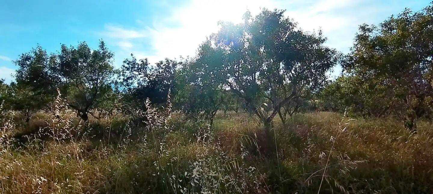 Finca rústica en venta en Aldover con Terraza y Piscina