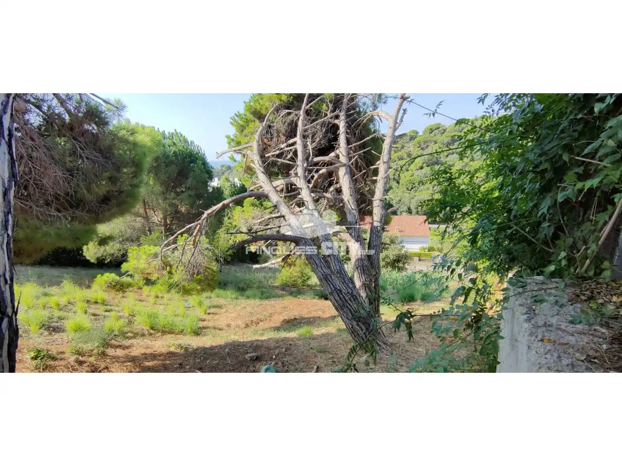 Terreno residencial en venta en Calle Llevante, imagen 4