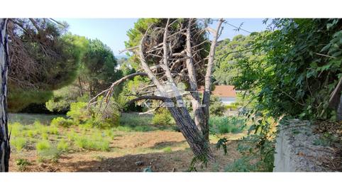 Foto 4 de Residencial en venda a Llevante, Calella, Barcelona