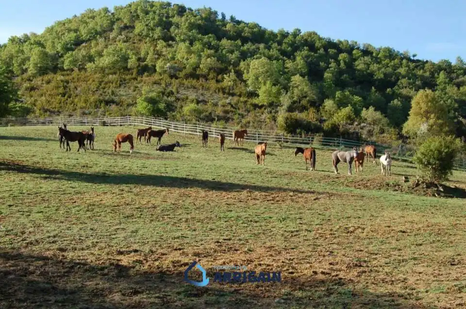 Casa o chalet en venta en La Moraleja con Jardín privado