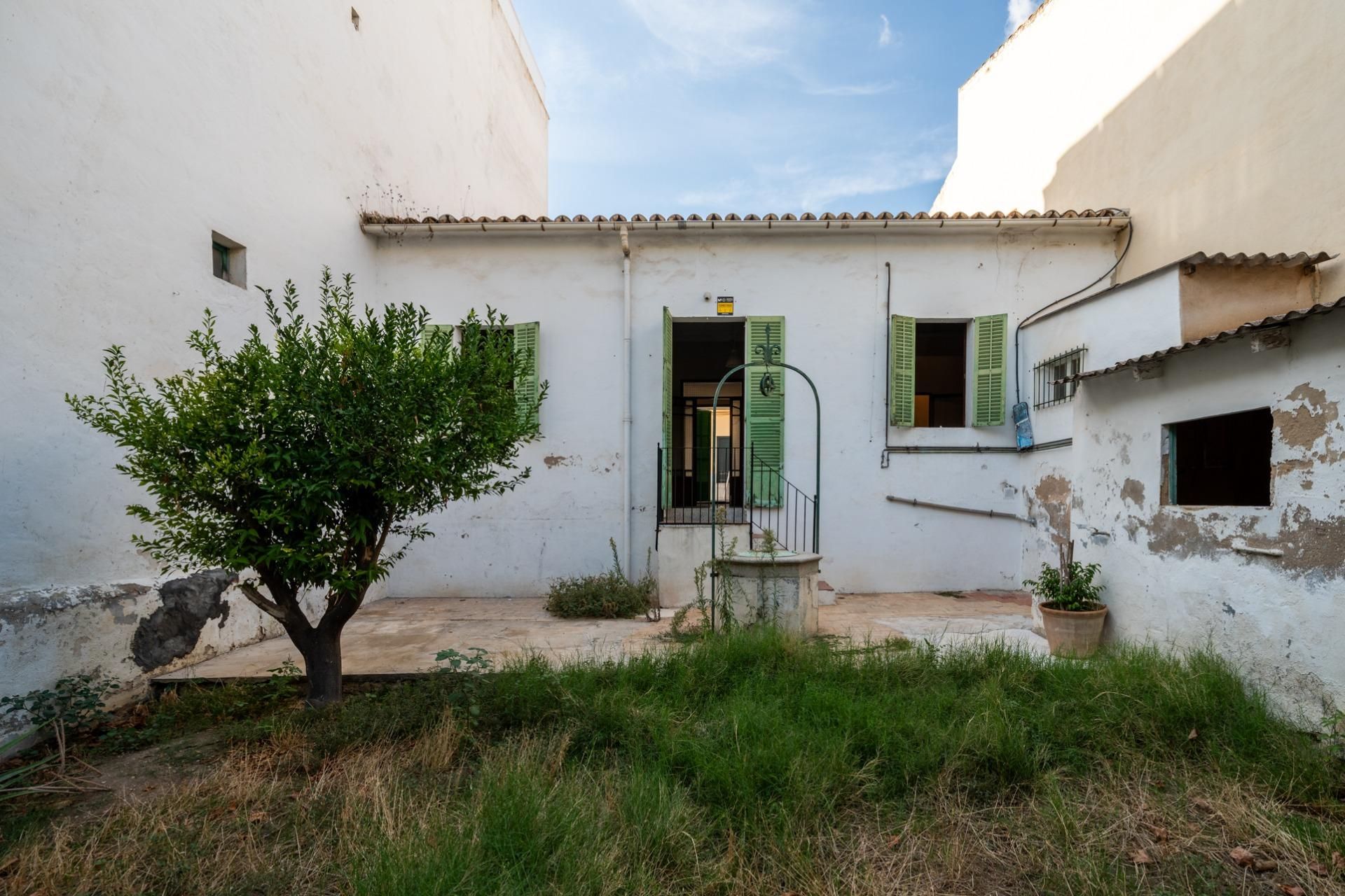Exterior view of House or chalet for sale in  Palma de Mallorca  with Private garden and Terrace