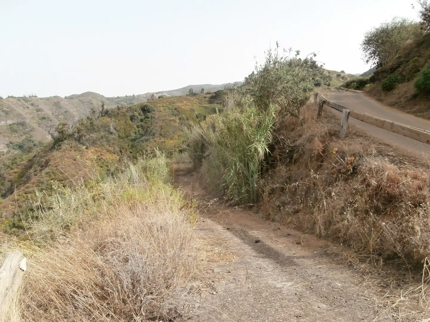 Finca rústica en venta en Camino Lomo el Marco, 41, Moya (Las Palmas)