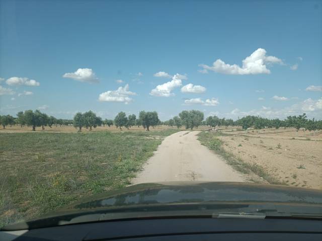 Terreno en Venta en Almonacid de Toledo