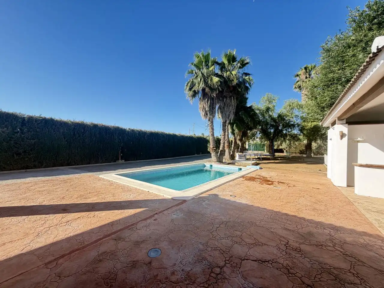 Swimming pool of Houses for sale in Almendralejo