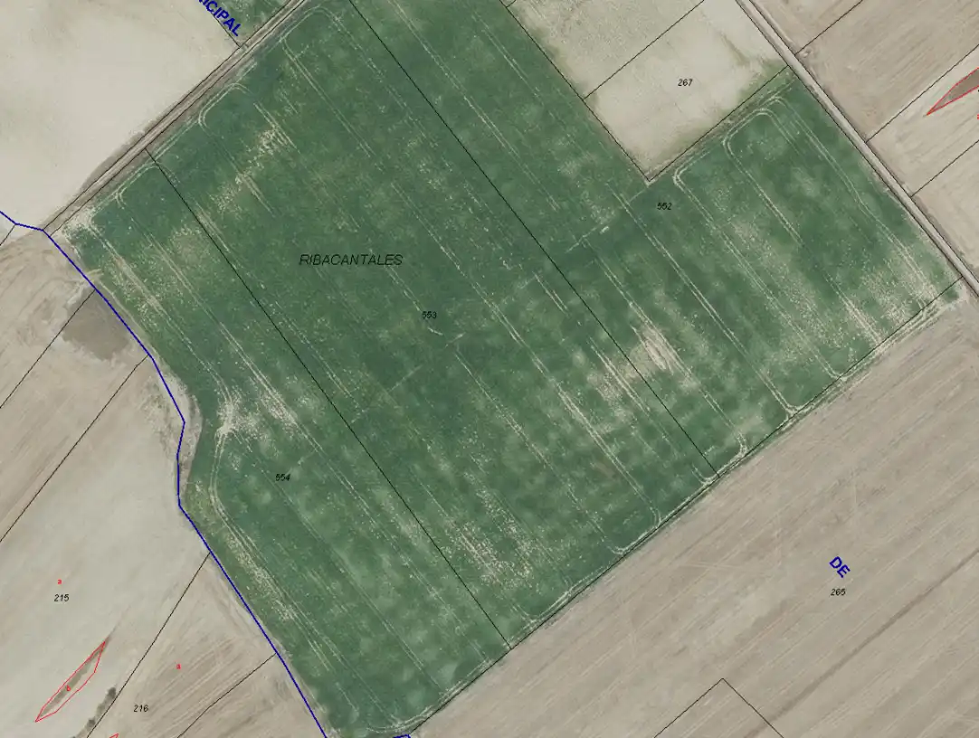 Land for sale in Ochánduri