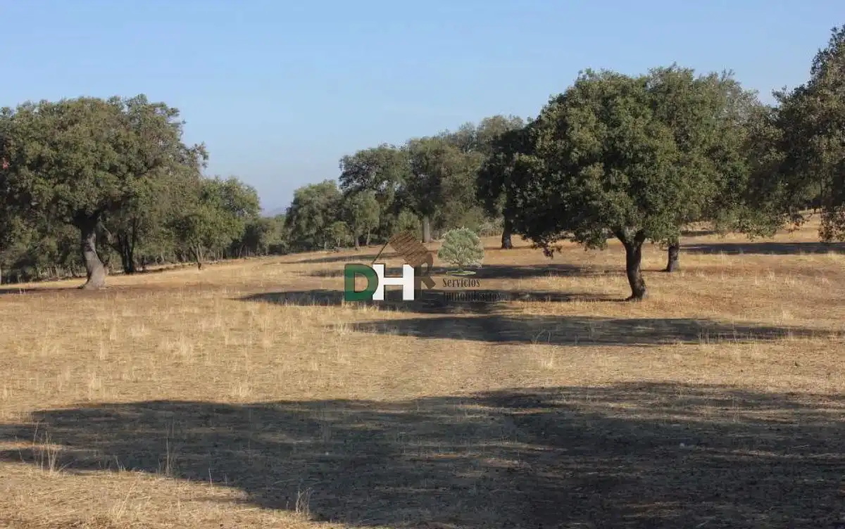 Terreni e lotti in vendita a Estación Arroyo Malpartida, imagen 5