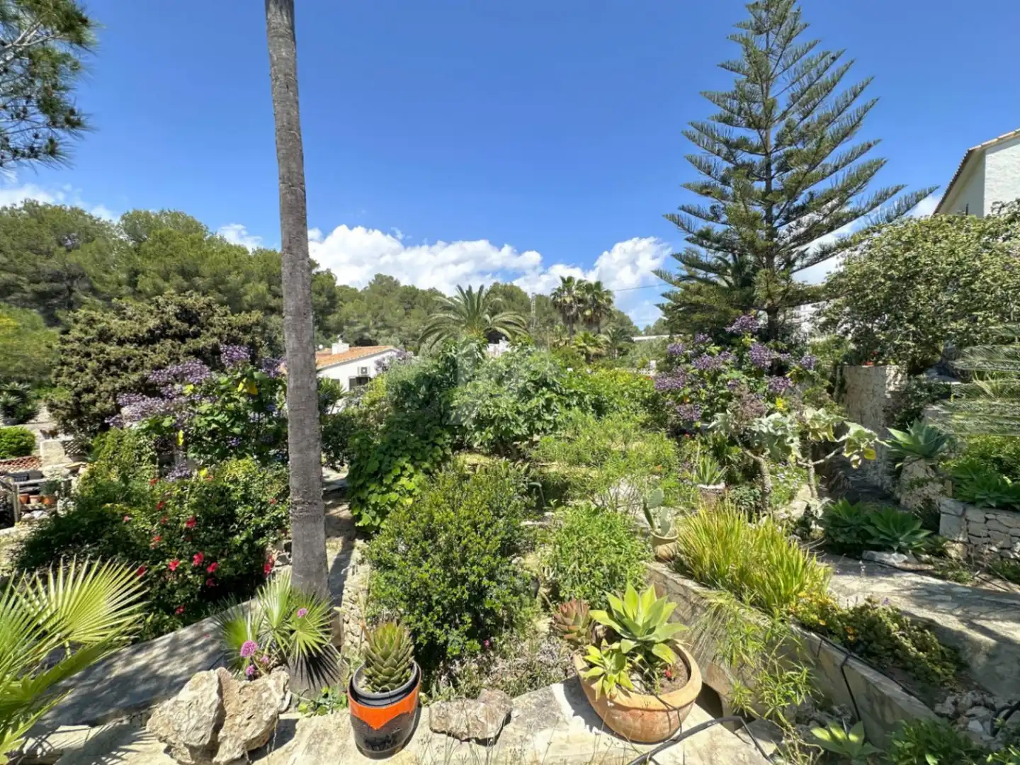 Detached house with pool for sale in Paichi, imagen 32