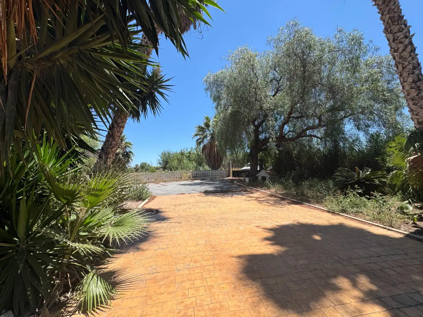 Casa rústica con piscina en venta en Dolores, imagen 34