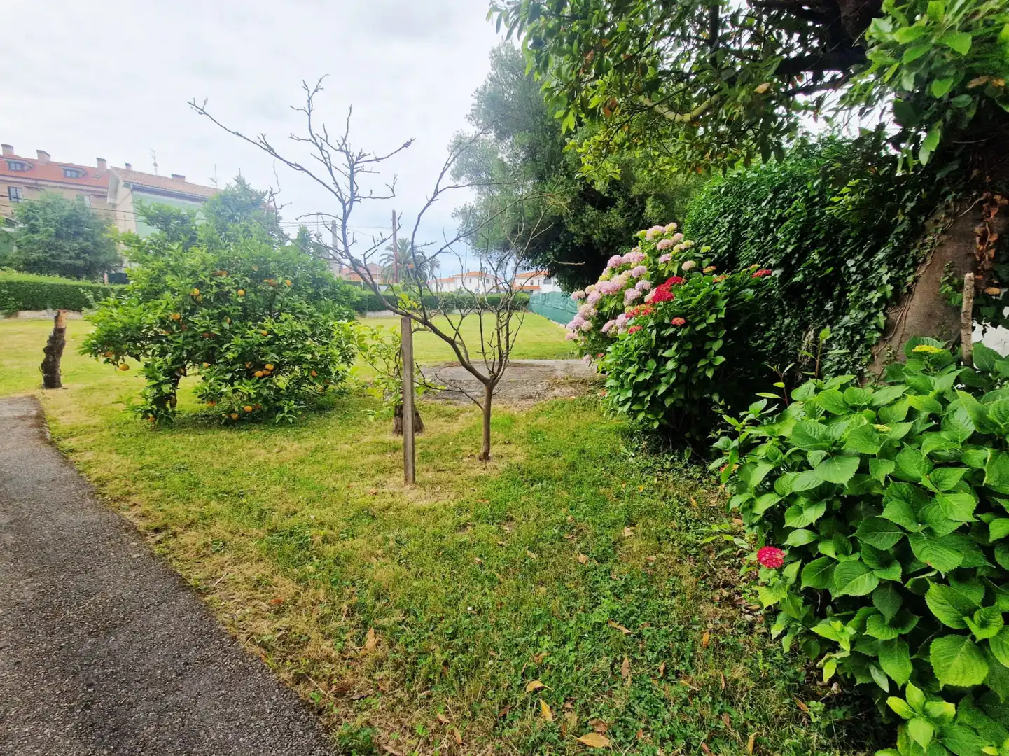 House with garden for sale in Pillarno, imagen 21