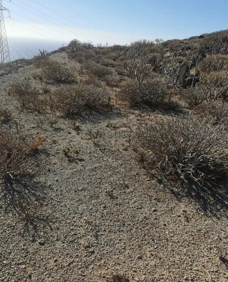 Rural land for sale in TF-28, imagen 6