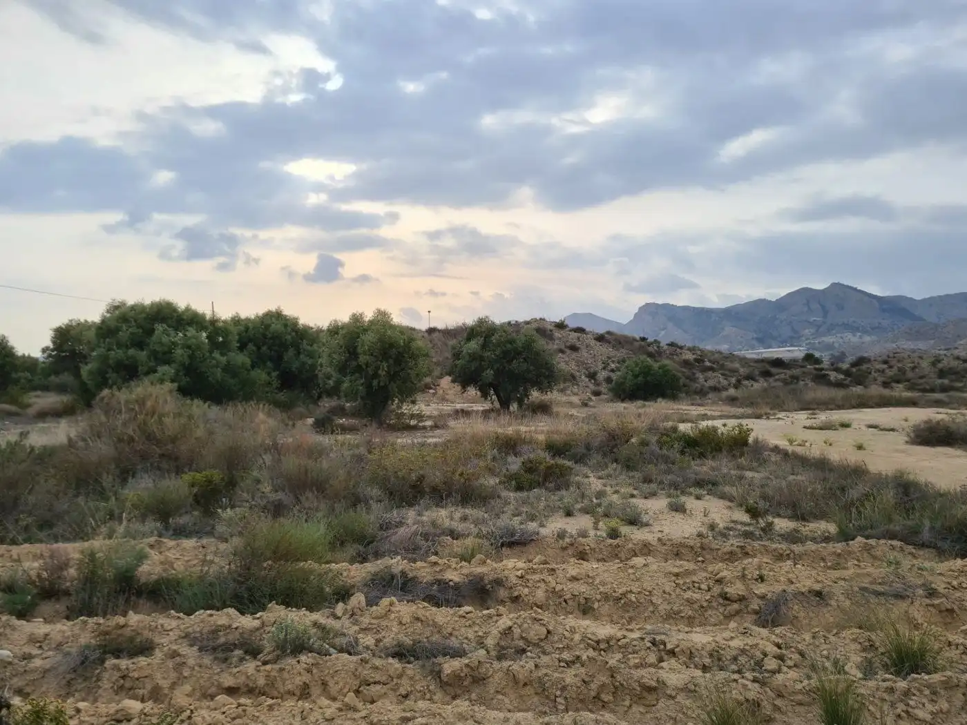 Wohnbaugrundstück zum Verkauf in Partidas de Alicante, imagen 6